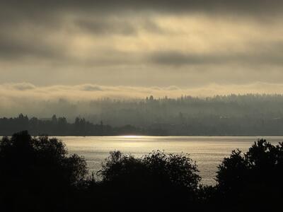 A serene lakeside scene in the early morning, with calm water reflecting warm amber light from the rising sun, silhouetted trees and buildings along the distant shoreline under a hazy sky.