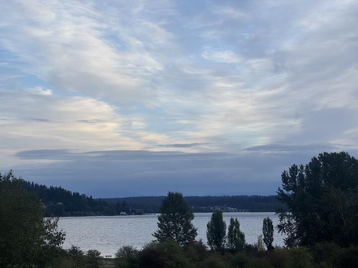 Scenic view of Lake Washington from Magnuson Park in Seattle, showing calm waters reflecting an overcast sky, with dark evergreen trees framing a tiny bench in the foreground, and distant hills visible across the lake.