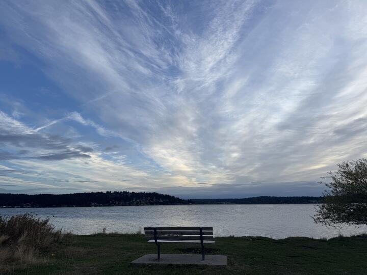 A wooden bench facing Lake Washington in Magnuson Park, Seattle, centered on grassy ground with evergreen trees and distant hills visible across the calm water under a partly overcast sky.