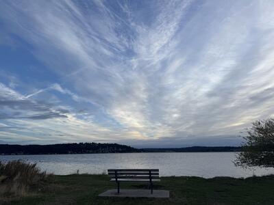A wooden bench facing Lake Washington in Magnuson Park, Seattle, centered on grassy ground with evergreen trees and distant hills visible across the calm water under a partly overcast sky.