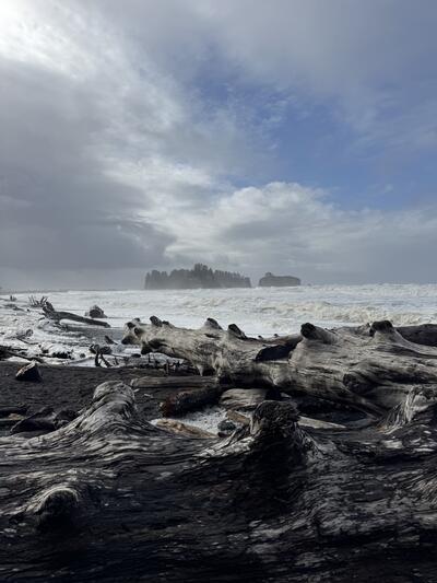 Dark clouds change to blue sky over Rialto Beach. Massive bleached driftwood in the foreground, heavy surf, surrounding misty tree-topped islands.
