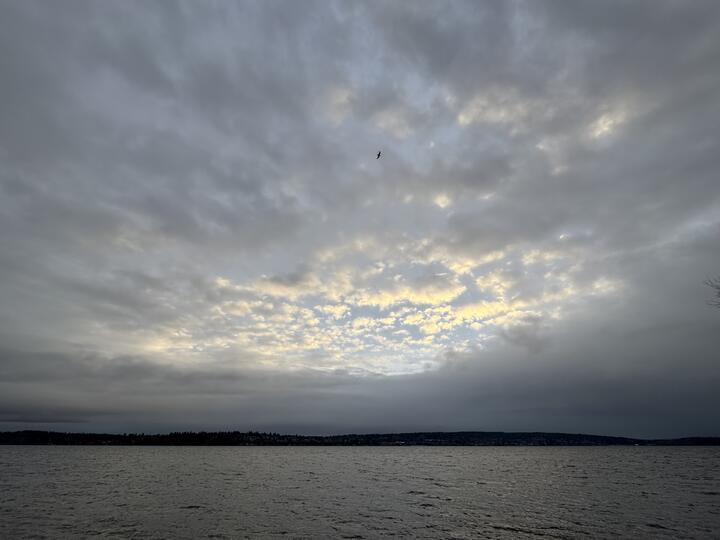 A dramatic cloudy sky breaking with golden light over the water at Magnuson Park, with a lone bird flying high above the lake headed to the right.