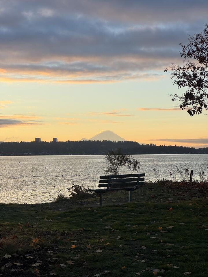 Empty park bench facing Lake Washington at sunrise, with a snow-capped Tahoma faintly visible beyond the dark opposite shore, pastel clouds above.