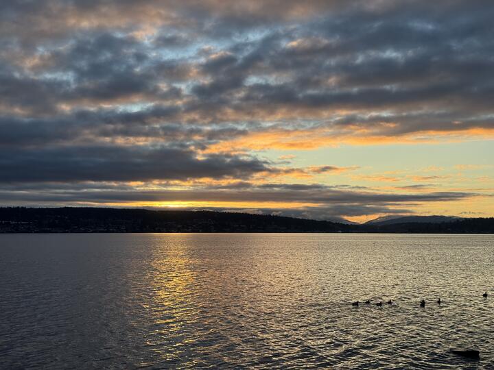 Golden sunrise light reflecting in ripples across Lake Washington beneath thick gray clouds, a dark opposite shore, and a line of small ducks on the right in silhouette.
