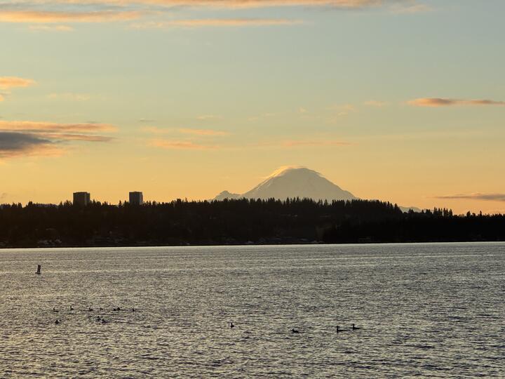Distant snow-covered peak of Tahoma, rising behind a wooded shoreline and a few tall buildings, seen across Lake Washington in soft golden morning light, some scattered clouds.