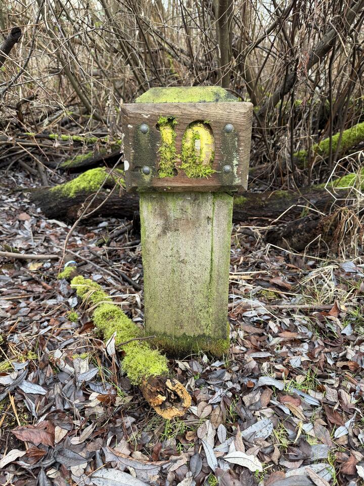 Photo of a weathered wooden post with a moss-covered "10" on a wooden plaque, surrounded by wet leaves and brush.