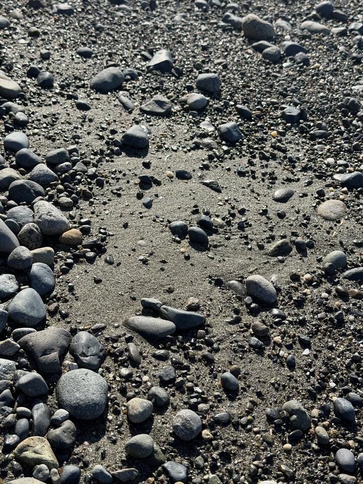 Pebbly beach sand dotted with smooth gray stones and dark gravel, with a curved patch of bare sand in the center.