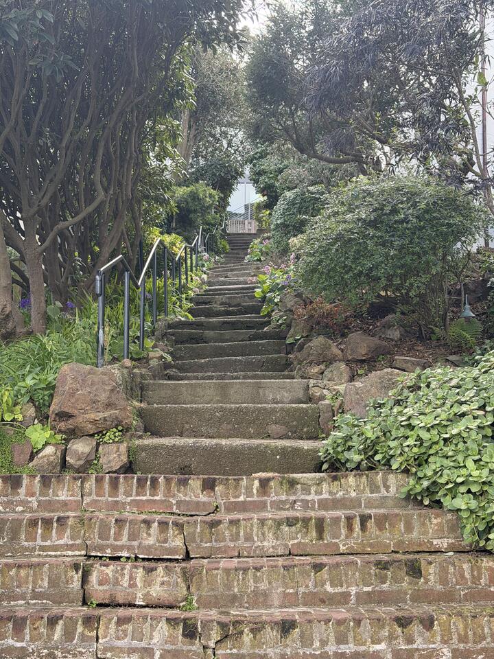 A steep outdoor stairway of worn concrete steps, bordered by rocks, shrubs, and trees, with metal handrails leading upwards.