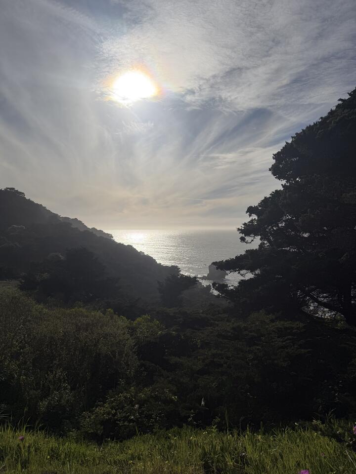 A coastal viewpoint from Lands End, framed by silhouetted dark green cypress trees on either side. The sun sits high in a sky streaked with wispy cirrus clouds, casting a faint iridescent halo. Below, the ocean shimmers with reflected sunlight next to two tree-covered bluffs.